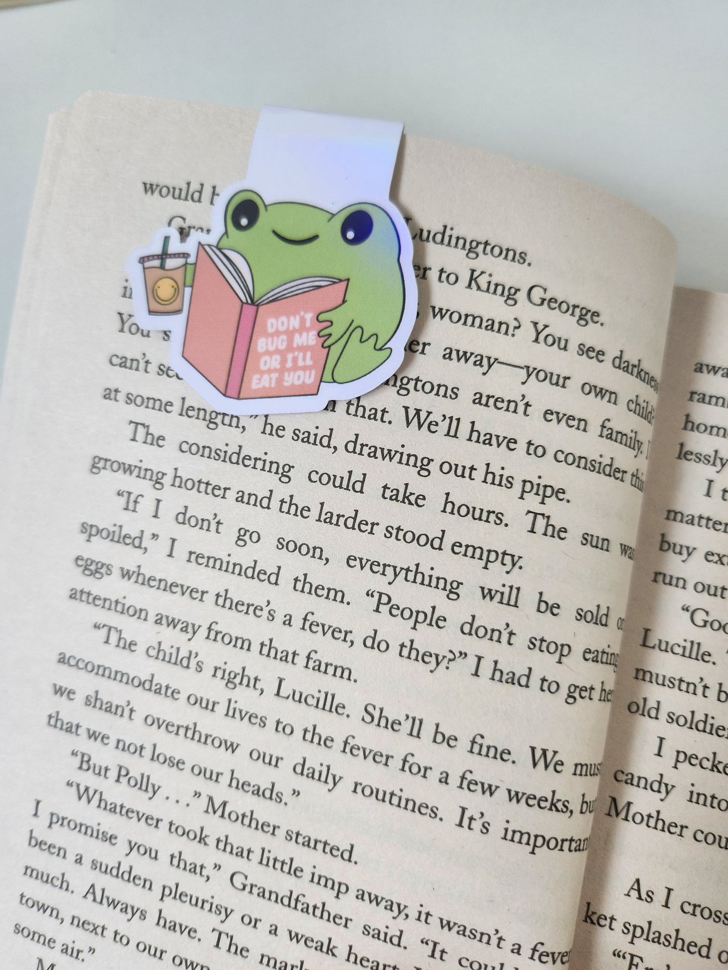 Magnetic Bookmarks | Bookish | Frog